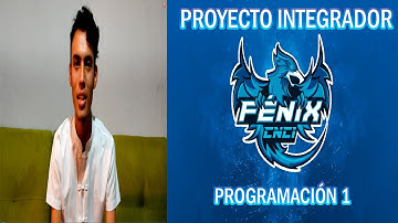PROYECTO INTEGRADOR (PROGRAMACIÓN 1)
