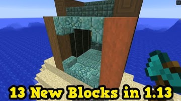 13 New Blocks in Minecraft 1.13 (Update Aquatic)