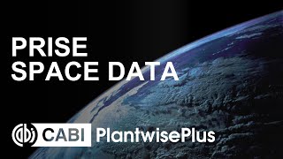 PRISE - Using space data for pest risk forecasts