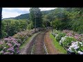 2018 箱根登山鉄道の列車から見る紫陽花(4K) Hydrangea Seen On-board The Hakone Mountain Railway Train(UHD)