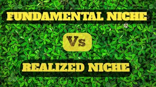 Fundamental niche vs realized niche | Fundamental niche versus realized niche examples (2020)