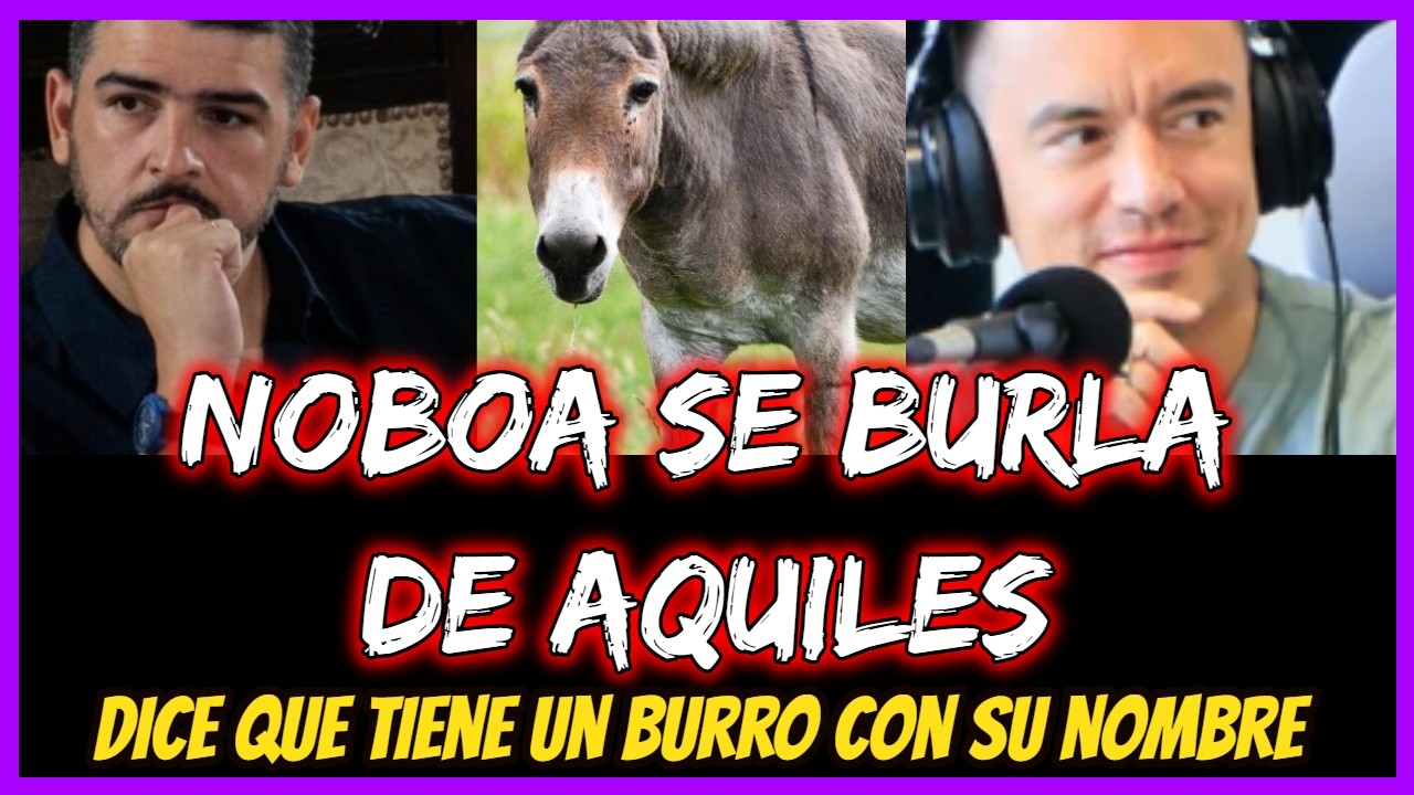 Noboa se burla de Aquiles.  Dice que tiene un Burro con su nombre