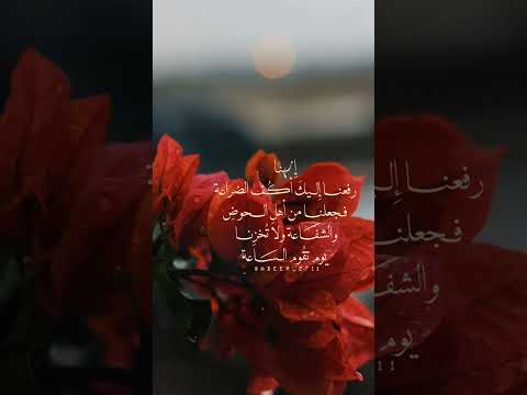 إلهنا رفعنا إليك أك ف الضراعة فجعلنا من أهل الحوض والشفاعة دعاء رمضانيات ياسر الدوسري إلهنا رفعنا إليك أك ف الضراعة فجعلنا من أهل الحوض والشفاعة دعاء رمضانيات ياسر الدوسري