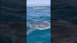 Most interesting place to visit this year?