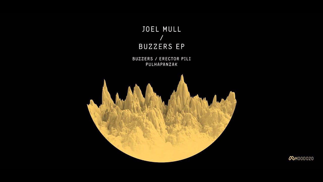 Joel Mull - Erector Pili (Original Mix)