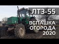 ЛТЗ-55 вспашка огорода 2020