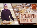 Прокачиваем шарлотку!