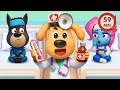 Listen To Doctor Healthy Habits Safety Rules Kids Cartoon Sheriff Labrador 