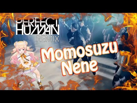 桃鈴ねね - Momosuzu Nene - PERFECT HUMAN【REMIX】(Subtitles)