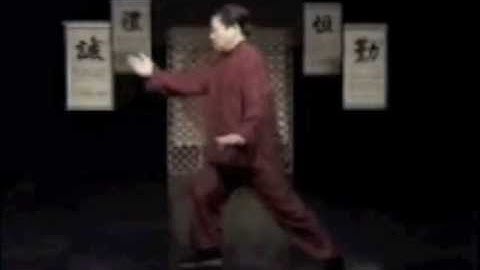 Yang Family Tai Chi Chuan 85 Form with Fu Sheng Yuan: Part 4