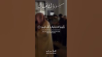 ماتيسر من سورة الأنفال بصوت الشيخ عمير شميم Umair Shameem Surah | AlAnfal