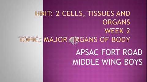 Class 6 week 2 science