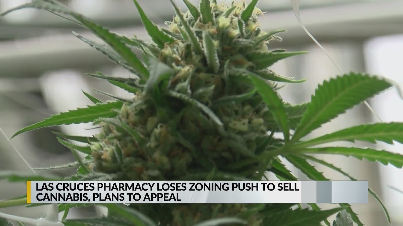 Las Cruces pharmacy that shares a wall with school denied to sell marijuana
