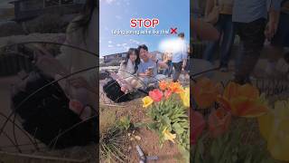 Dont shoot your flower photos like this! ❌