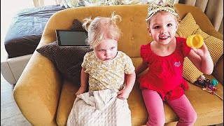 VLOG пробую планетарный миксер, забота о питомцах - Senya Miro VLOG пробую планетарный миксер, забота о питомцах - Senya Miro