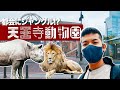 【大阪】都会のど真ん中にアマゾンが【天王寺動物園】