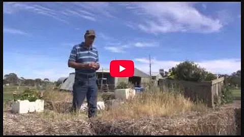 Large Scale Worm Composting with David Davidson | Farming Secrets