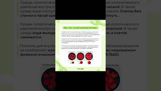 RIWQKA500 промокод в егэхаб #11класс #каббалистика #дуэт #химияегэ #школа #переписка #влог