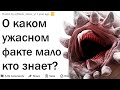 Жуткие факты о которых мало кто знает