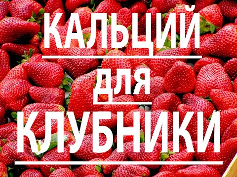 Кальций для клубники.