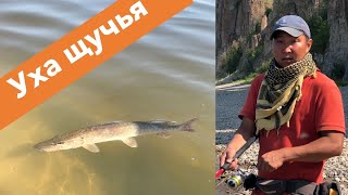 Приготовление ухи из щуки и окуня