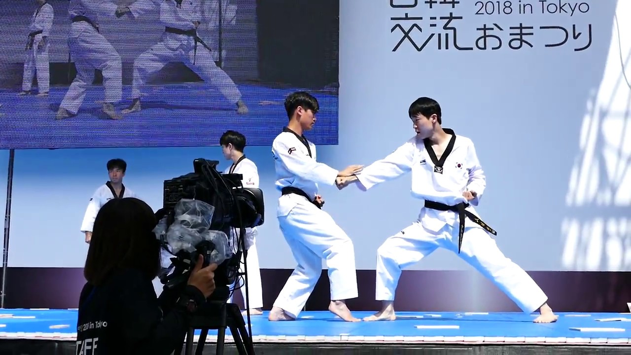 2018 日韓交流おまつり スゴ技連発！国技院テコンドー演武団