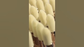 How brushes are made