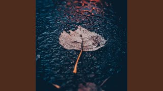 Meditative Rain Chords screenshot 4