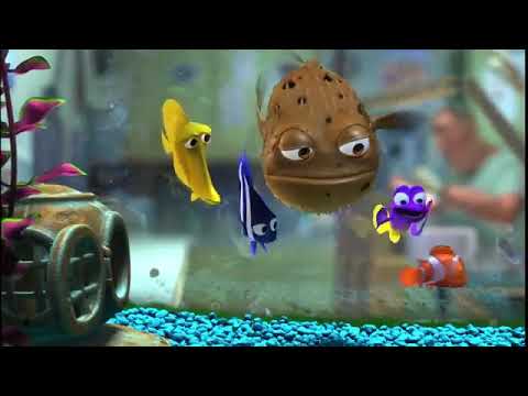 عالشط واقف صياد بشبكه 