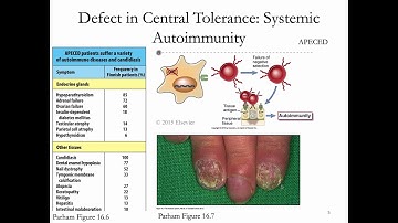 Immunology Fall 2019 Lecture 27: Peripheral Tolerance/Autoimmunity 1