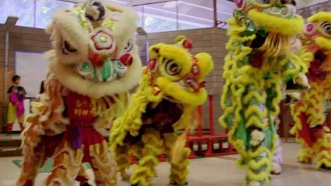 'Chinese New Year celebrations are literally lit!' - DayDayNews