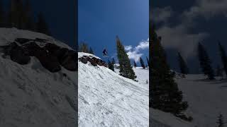 IMG 0345