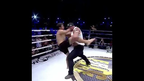 MMA Fighter vs Bodybuilder