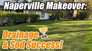 Phase One Success: Naperville Drainage & Sod Transformation by Ware Landscaping & Snow Removal 80 views 6 months ago 1 minute, 20 seconds