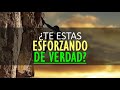 ¿TE ESTAS ESFORZANDO DE VERDAD?