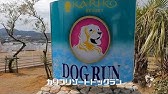 リゾート ドッグラン カリコ 【淡路島】愛犬と遊ぼう！おすすめのドッグラン5選