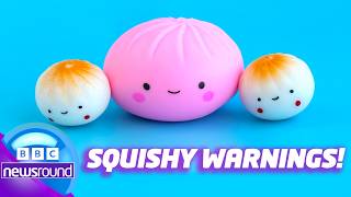 How to Spot an Unsafe Squishy Toy! ⚠️ | Newsround