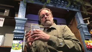 hitting birds stop windows