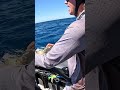 Perfect Timing Marlin Hookup