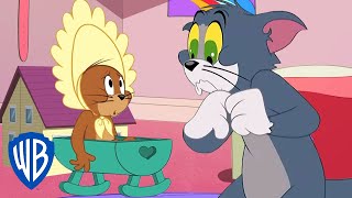 Tom & Jerry em Português 🇧🇷 | Brasil | Jerry é Adotado | WB Kids
