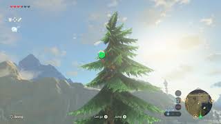 Korok seeds | Strock Lake | Tabantha Tower #19 | Zelda BOTW