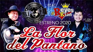 Video thumbnail of "Los Originales Pika Pika Ft. Reyes Klan la Flor Del Pantano Video Oficial 2020"