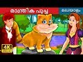 മാന്ത്രിക പൂച്ച  | The Magical Kitty Story in Malayalam | Malayalam Cartoon | Malayalam Fairy Tales