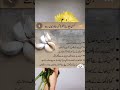 لہسن کے حیرت انگیز فوائد – خطرناک بیماریوں سے نجات