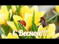 С первым днем весны! Счастья и любви!Солнца и тепла!Мира и добра!🌱🌞