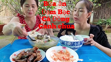 Cá Lóc Cá Rô Đồng Nấu Canh Chua   Cá Rô Kho tiêu Hai Chị Em Ăn Một Bữa Đã Gì Đâu | ÚT DIỄM BA TRI