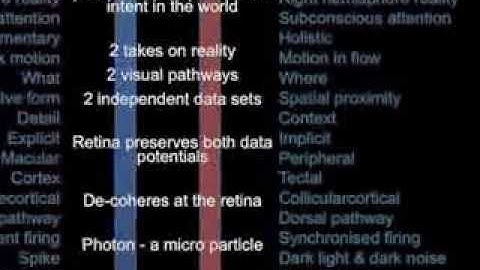 Vision-Space: Retinal processing and the research proposition