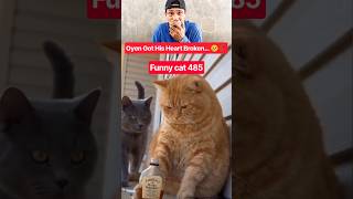 funny cat 🐱 485 #marsytchannel #youtubeshorts #shorts #trending #funny #cat #cats #cute