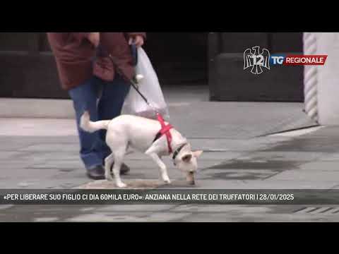 «PER LIBERARE SUO FIGLIO CI DIA 60MILA EURO»: ANZIANA NELLA RETE DEI TRUFFATORI | 28/01/2025