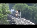 River Train and Norfolk Southern Freight Action - Delaware River Railroad, July 1, 2011